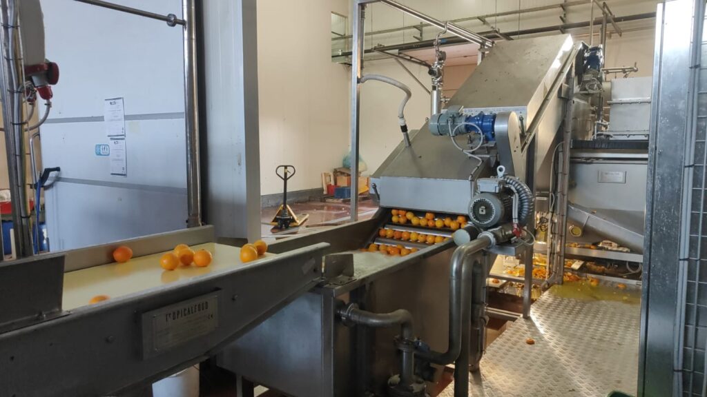 Chế biến cam sành