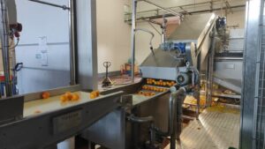 Chế biến cam sành