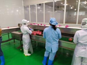 HACCP và ISO 22000 khác nhau ở đâu — nhìn từ phía người ký séc
