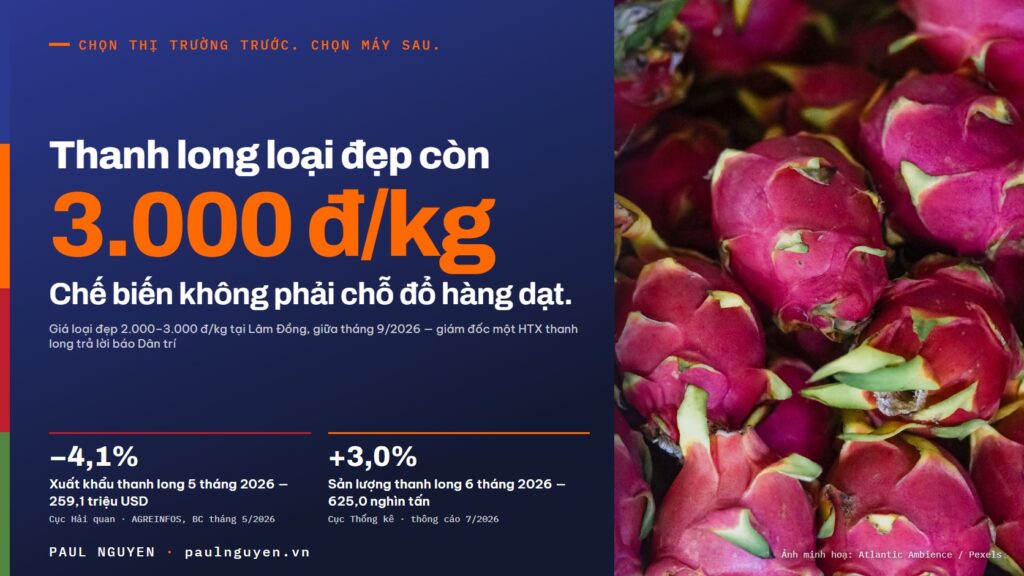 Thanh long loại đẹp còn 3.000 đồng/kg — chế biến không phải chỗ đổ hàng dạt