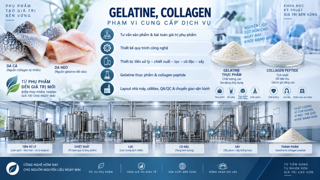 Dây chuyền collagen peptide từ da cá