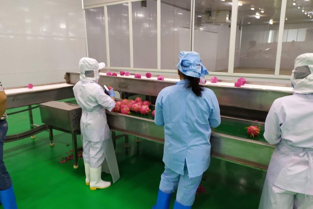 HACCP và ISO 22000 khác nhau ở đâu — nhìn từ phía người ký séc