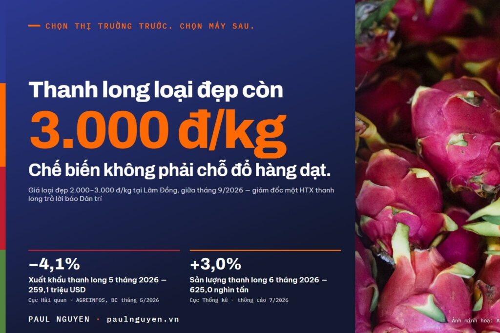Thanh long loại đẹp còn 3.000 đồng/kg — chế biến không phải chỗ đổ hàng dạt