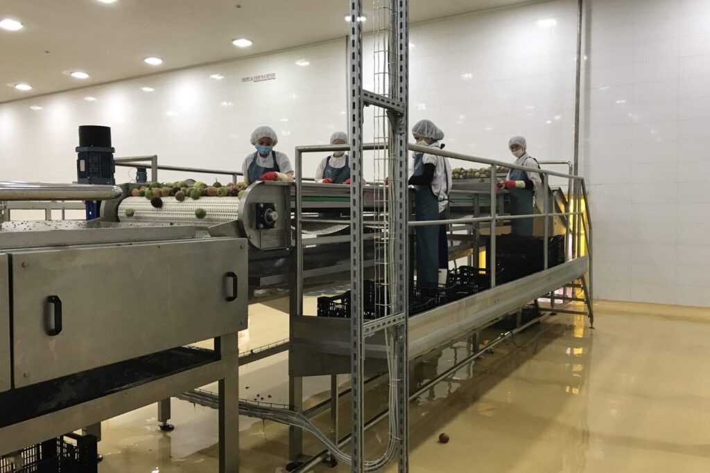 Tổng chi phí sở hữu dây chuyền thực phẩm: giá máy chỉ là 23% dự án