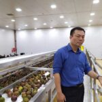 Paul Nguyen bên băng tải chanh dây trong nhà máy chế biến trái cây