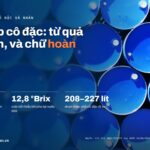 Nước ép cô đặc: từ quả tới drum, và chữ hoàn nguyên trên nhãn. EU buộc bỏ ít nhất 50% nước, nước dứa pha lại tối thiểu 12,8 °Brix, drum thép 208–227 lít
