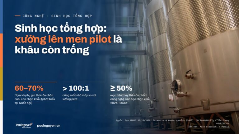 Sinh học tổng hợp: thiếu xưởng lên men pilot đạt chuẩn, sản phẩm sẽ nằm mãi trong phòng thí nghiệm