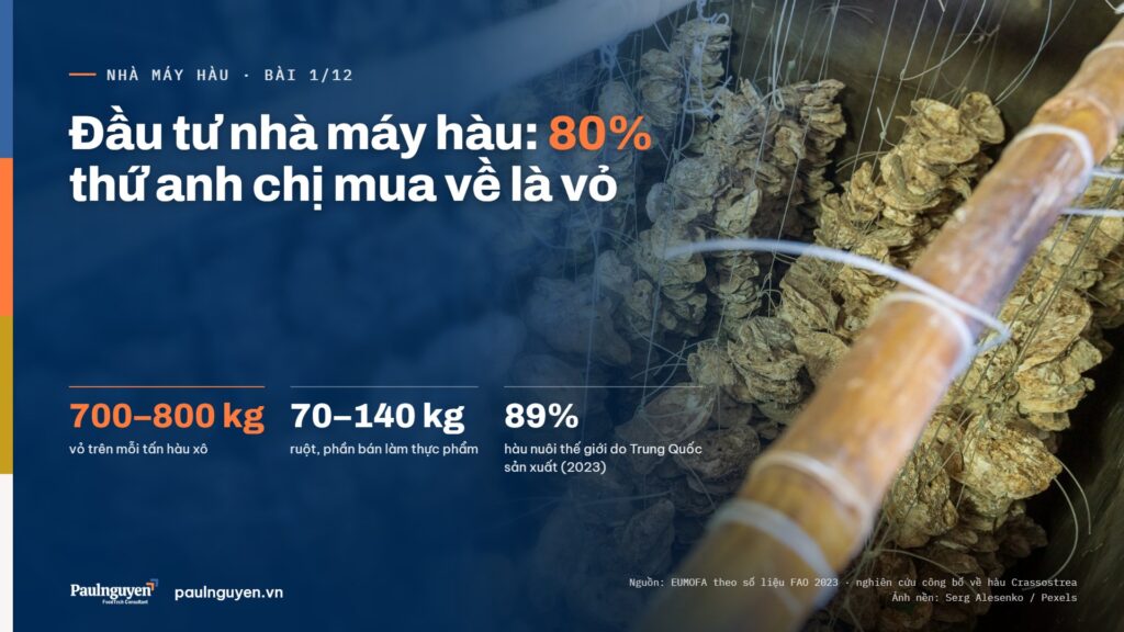 Đầu tư nhà máy hàu: 80% thứ anh chị mua về là vỏ. Mỗi tấn hàu xô có 700–800 kg vỏ, 70–140 kg ruột; Trung Quốc sản xuất 89% hàu nuôi thế giới (2023)