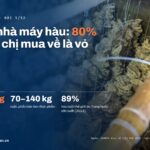 Đầu tư nhà máy hàu: 80% thứ anh chị mua về là vỏ. Mỗi tấn hàu xô có 700–800 kg vỏ, 70–140 kg ruột; Trung Quốc sản xuất 89% hàu nuôi thế giới (2023)
