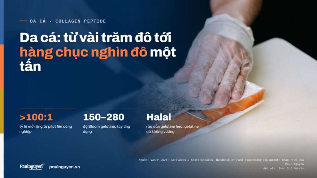 Da cá: từ vài trăm đô tới hàng chục nghìn đô một tấn. >100:1 tỷ lệ mở rộng từ pilot lên công nghiệp; 150–280 độ Bloom gelatine, tùy ứng dụng; Halal rào cản gelatine heo, gelatine cá không vướng