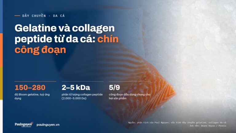 Dây chuyền gelatine và collagen peptide từ da cá