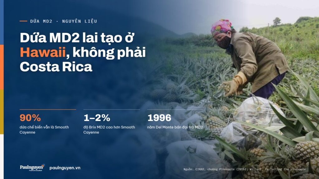 Dứa MD2 lai tạo ở Hawaii, không phải Costa Rica. 90% dứa chế biến vẫn là Smooth Cayenne; 1–2% độ Brix MD2 cao hơn Smooth Cayenne; 1996 năm Del Monte bán đại trà MD2