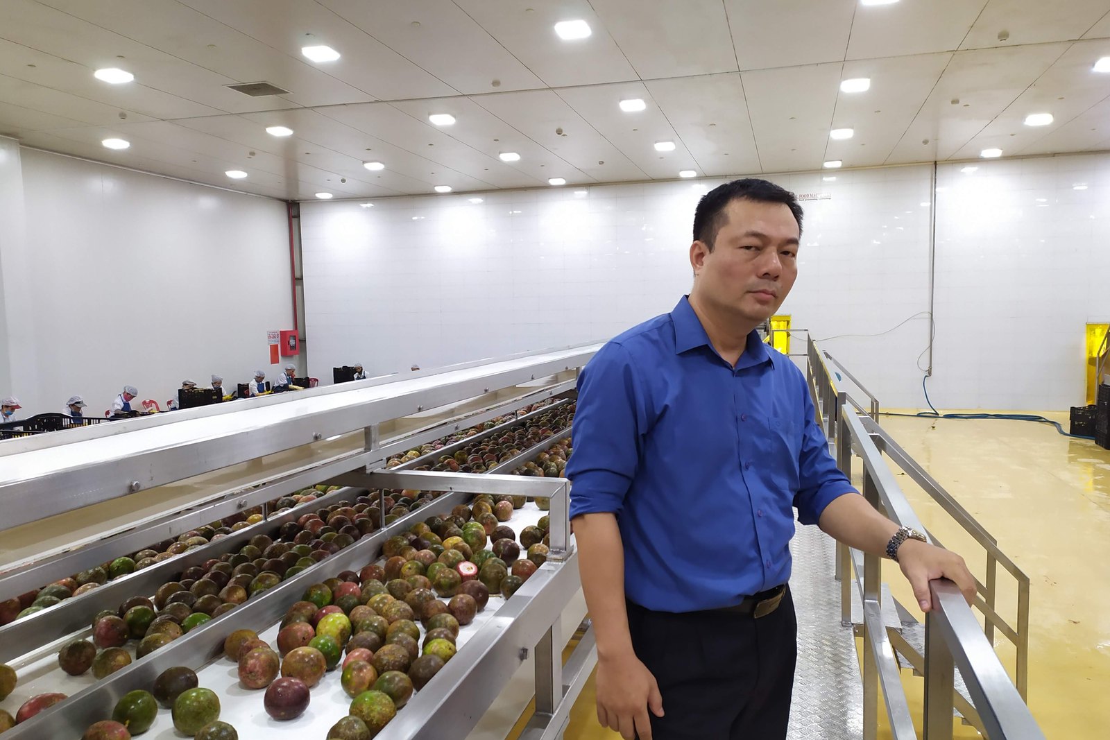 Paul Nguyen tại một dây chuyền tiếp nhận và rửa nguyên liệu trong nhà máy chế biến
