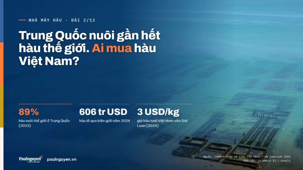 Trung Quốc nuôi gần hết hàu thế giới, ai mua hàu Việt Nam? Trung Quốc 89% hàu nuôi (FAO 2023); thương mại hàu 606 triệu USD (2024); hàu tươi Việt Nam vào Đài Loan khoảng 3 USD/kg