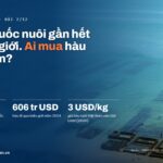 Trung Quốc nuôi gần hết hàu thế giới, ai mua hàu Việt Nam? Trung Quốc 89% hàu nuôi (FAO 2023); thương mại hàu 606 triệu USD (2024); hàu tươi Việt Nam vào Đài Loan khoảng 3 USD/kg