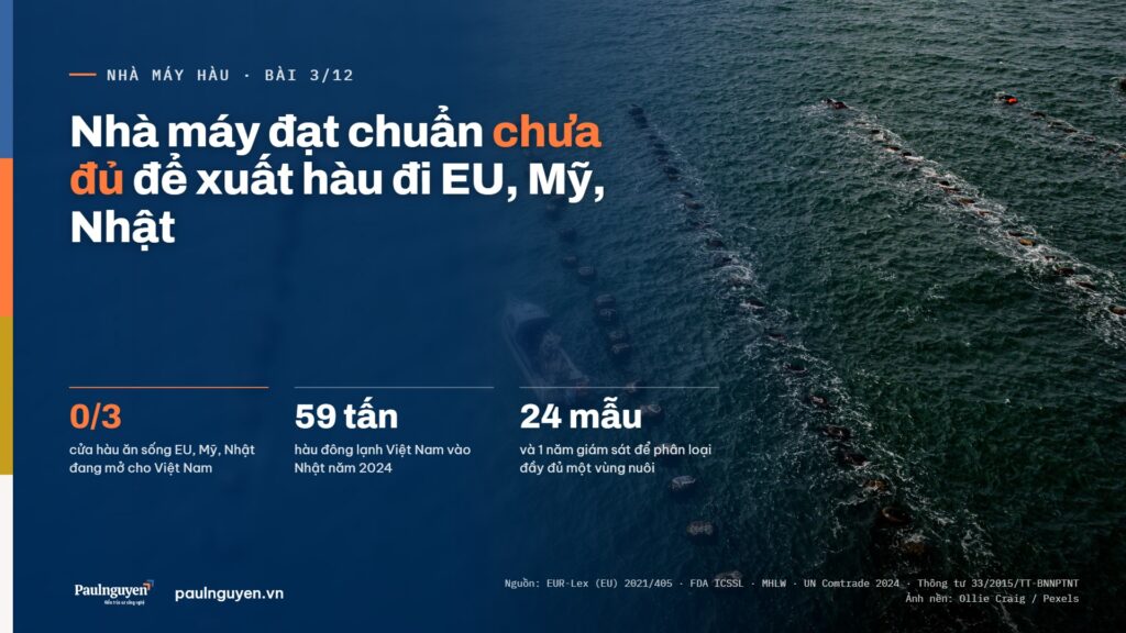 Nhà máy đạt chuẩn chưa đủ để xuất hàu đi EU, Mỹ, Nhật: 0/3 cửa hàu ăn sống đang mở cho Việt Nam; 59 tấn hàu đông lạnh Việt Nam vào Nhật năm 2024; 24 mẫu và 1 năm giám sát để phân loại một vùng nuôi