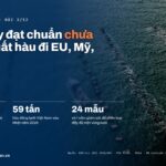 Nhà máy đạt chuẩn chưa đủ để xuất hàu đi EU, Mỹ, Nhật: 0/3 cửa hàu ăn sống đang mở cho Việt Nam; 59 tấn hàu đông lạnh Việt Nam vào Nhật năm 2024; 24 mẫu và 1 năm giám sát để phân loại một vùng nuôi