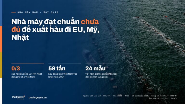Bản đồ xuất khẩu hàu Việt Nam 2026: thị trường nào mở, thị trường nào đóng