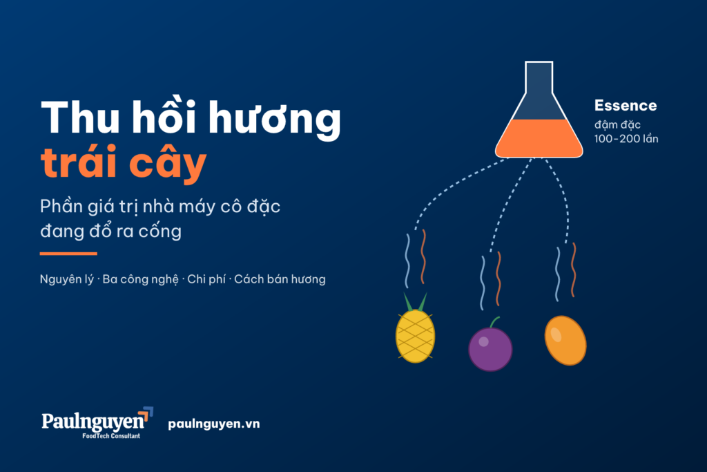Thu hồi hương trái cây: hương dứa, chanh dây, xoài được gom thành essence đậm đặc