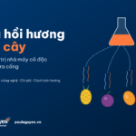 Thu hồi hương trái cây: hương dứa, chanh dây, xoài được gom thành essence đậm đặc