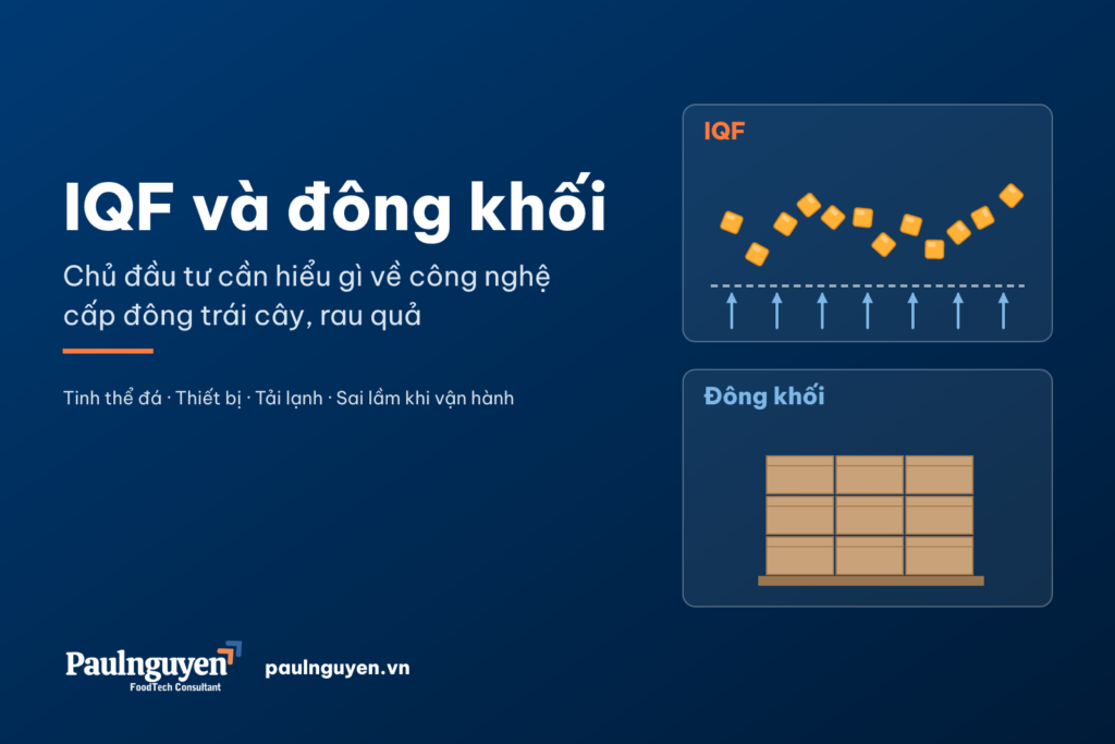 IQF và đông khối: miếng quả đông rời trên tầng sôi và thùng hàng đông khối trên pallet
