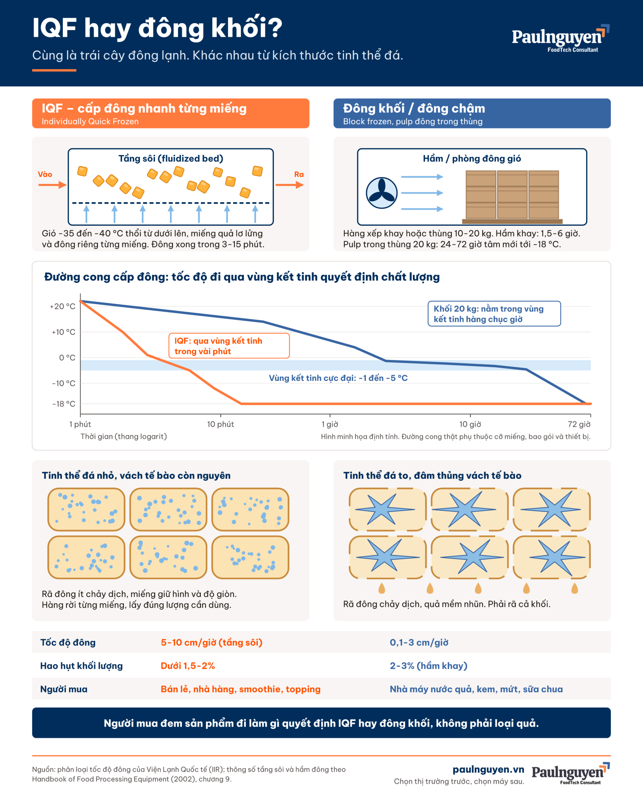 Infographic tóm tắt khác biệt giữa IQF và đông khối cho trái cây, rau quả