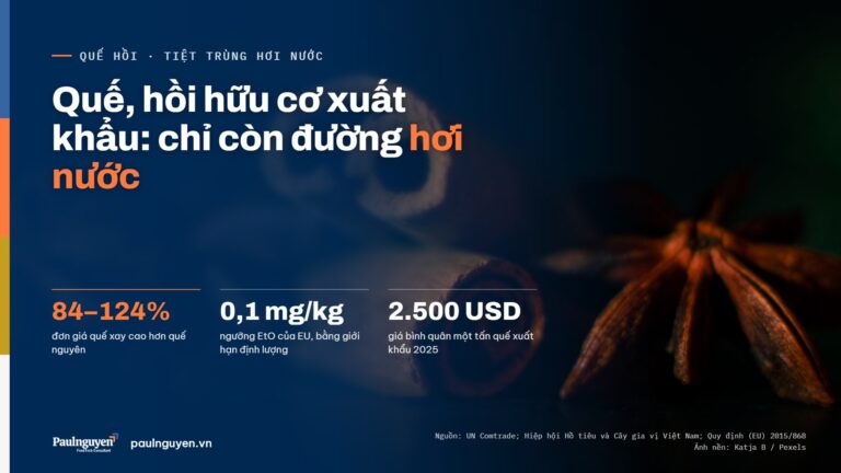 Tiệt trùng hơi nước cho quế, hồi hữu cơ xuất khẩu: vai trò theo từng thị trường và từng dạng sản phẩm