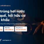 Tiệt trùng hơi nước cho quế, hồi hữu cơ xuất khẩu: vai trò theo từng thị trường và dạng sản phẩm